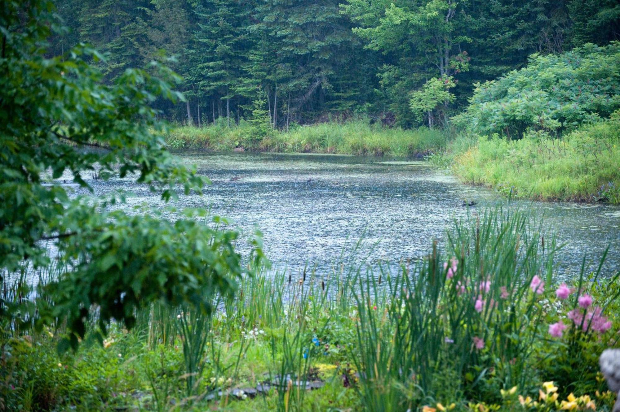 Shambhala Bed And Breakfast Buckhorn Esterno foto
