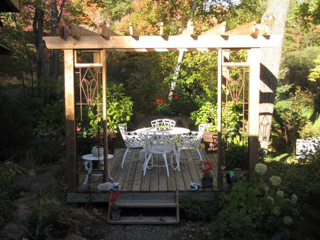 Shambhala Bed And Breakfast Buckhorn Esterno foto